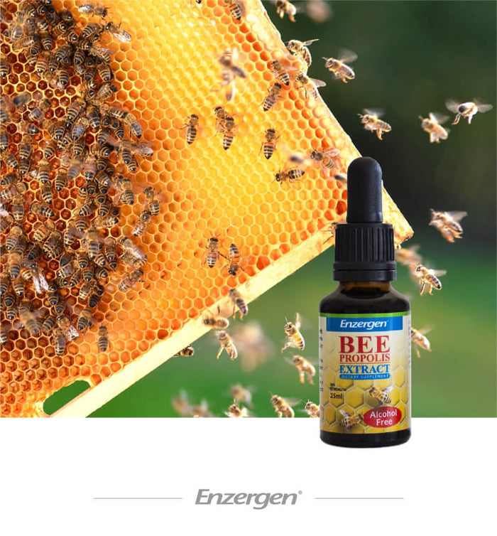 Bee Propolis Extract Alcohol Free for Immunity
