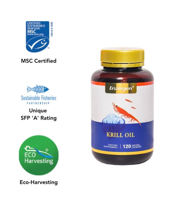 krill-oil-omega3